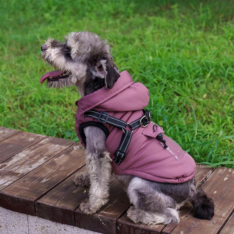 Adjustable Insulated Cozy Hooded Dog Harness Jacket