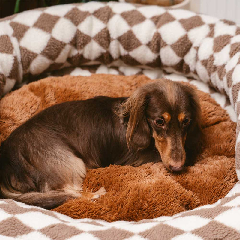 Classic Argyle Washable Bolster Donut Dog Bed - Cozy Haven