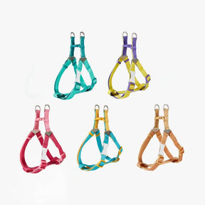 Conjunto de Peitoral e Guia Ergonômico Ajustável - jaspe