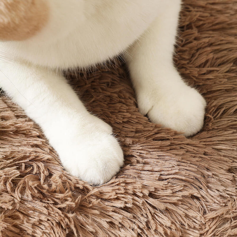 Soft Plush Anti-Slip Fluffy Dog & Cat Rug Mat